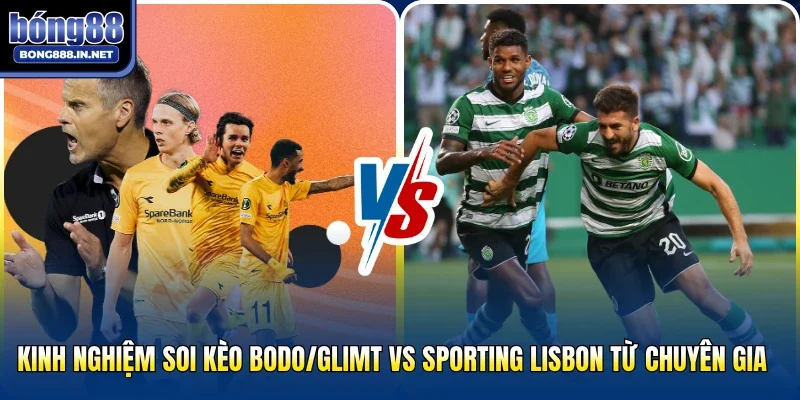 Kinh nghiệm soi kèo Bodo/Glimt Vs Sporting Lisbon từ chuyên gia