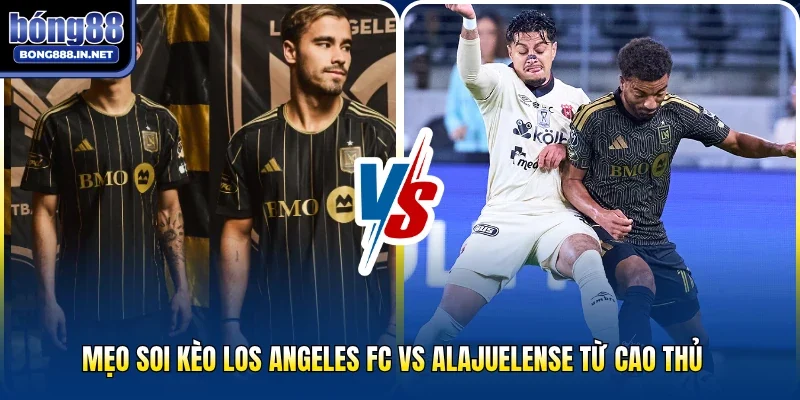 Mẹo soi kèo Los Angeles FC vs Alajuelense từ cao thủ