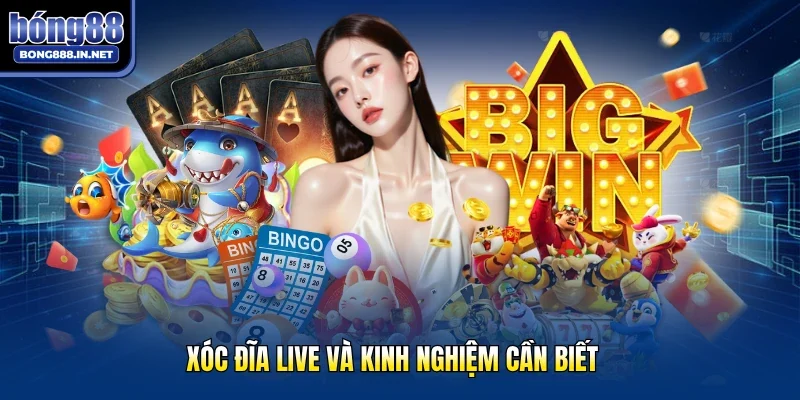 Xóc đĩa live và kinh nghiệm cần biết